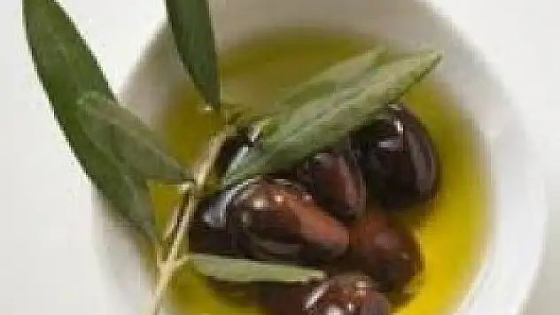 Konya'da zeytin ve zeytinyağı günü düzenlenecek