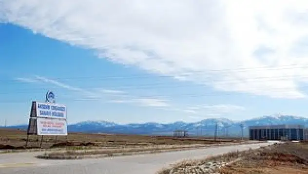 Akşehir Organize Sanayi Bölgesi'nde atsaların yüzde 90' tahsis edildi