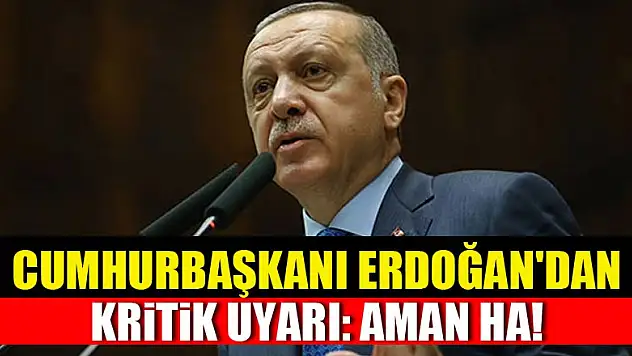 Cumhurbaşkanı Erdoğan'dan kritik uyarı: Aman ha!