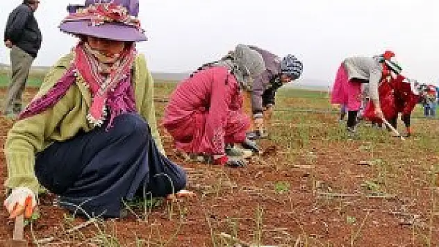 Suriyeli kadınlar 'günlerinden' habersiz