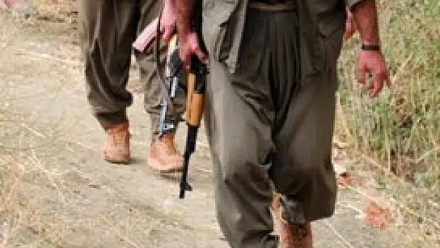 PKK'nın Hakkari'deki şok planı