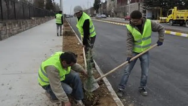 Seydişehir'de ağaçlandırma çalışmaları