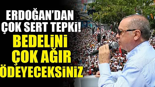 Erdoğan: Bedelini çok ağır ödeyeceksiniz
