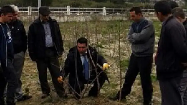 Beyşehir'de meyve üreticilerine budama eğitimi
