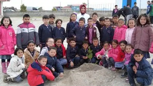 Karapınar'da 150 fidan dikildi