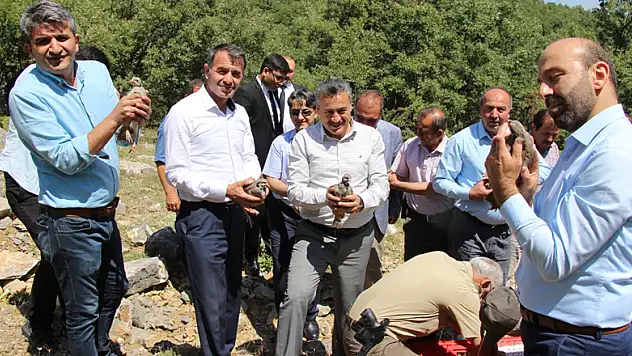 Seydişehir'de doğaya keklik salındı