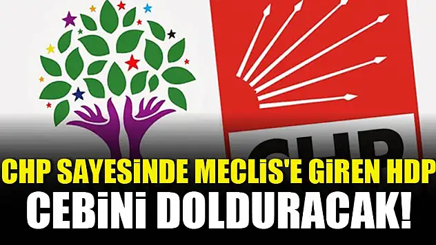 CHP sayesinde Meclis'e giren HDP'ye 72 milyon TL