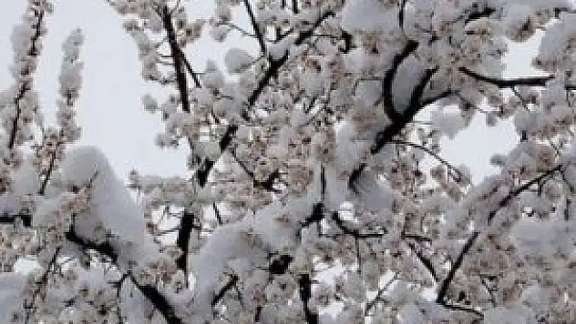 Konya ve çevresi için zirai don uyarısı