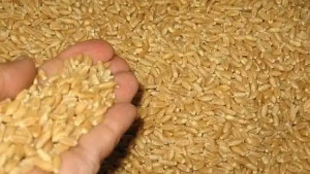 Konya Ticaret Borsası - 13.03.2014