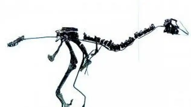 Kuzey Kutbu'nda yeni bir dinozor türü fosili bulundu