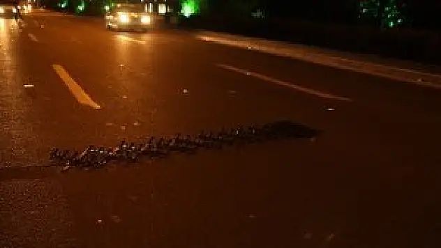 Alkollü sürücüler kapana düştü