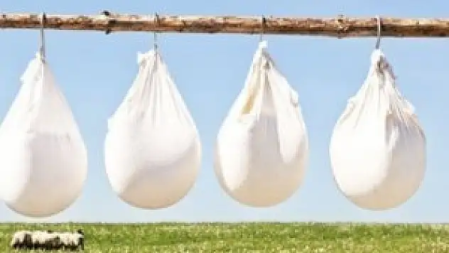 Yabancıdan sütçü avı