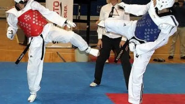 Hollanda'dan 5 madalyayla döndüler