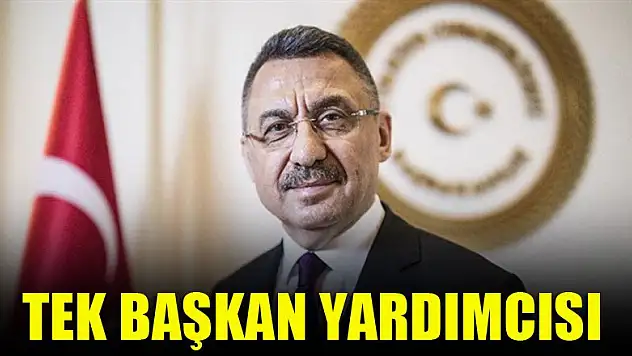 Tek Başkan Yardımcısı: Fuat Oktay