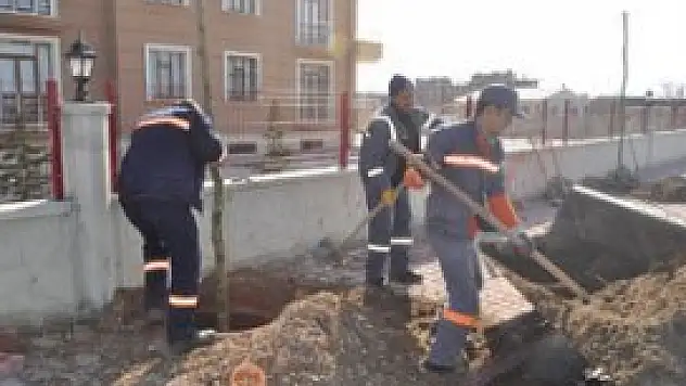 Ağaçlandırma çalışmaları hız kesmiyor