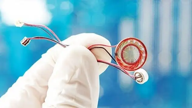 Böcek koyanlar 19 kişi