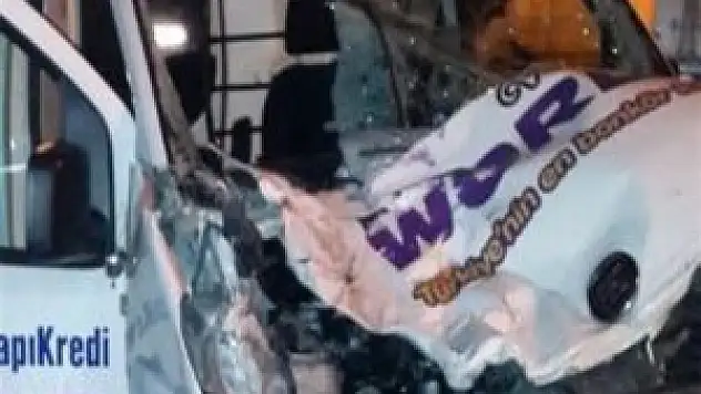 Otomobil ata çarptı: 2 yaralı