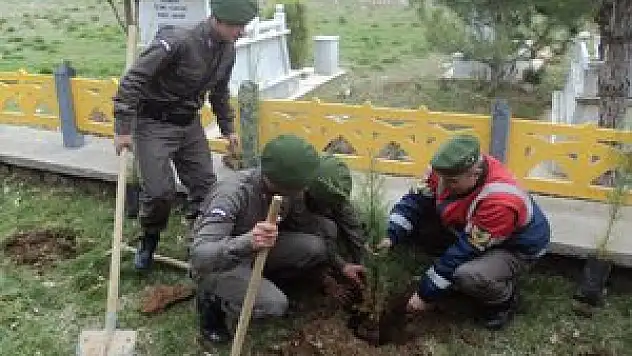 Jandarmadan Şehitler anısına fidan