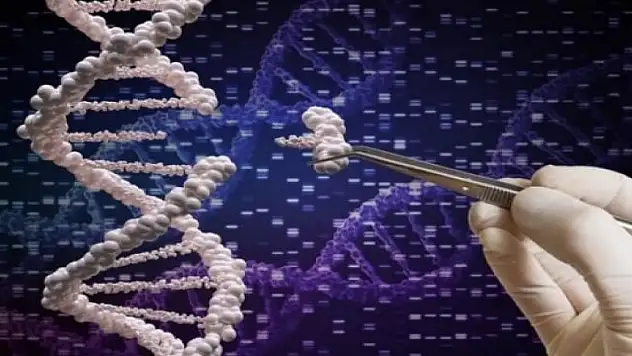 Türk bilim adamından muhteşem buluş!