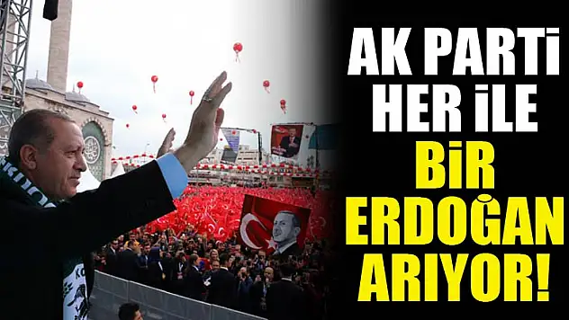 AK Parti her ile bir Erdoğan arıyor