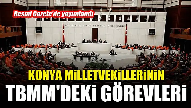 Konya Milletvekillerinin TBMM'deki Görevleri