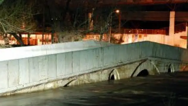 Meriç ve Tunca nehirlerinde taşkın alarmı