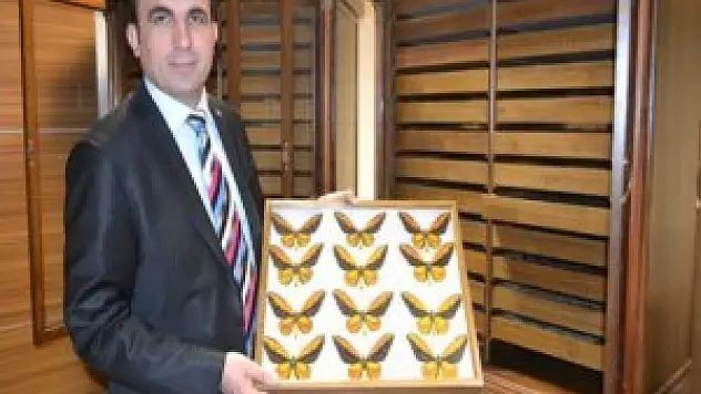 Türkiye dünyaya kelebek ihraç edecek