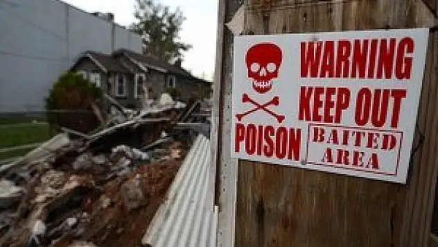 ABD'de toprak kayması