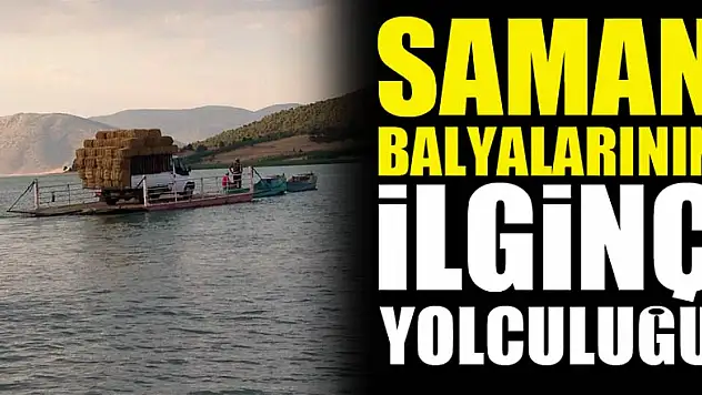Saman balyalarının ilginç yolculuğu