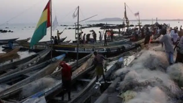 Gine'de Ebola salgını