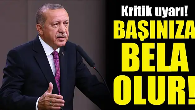 Başkan Erdoğan'dan kritik uyarı! Başınıza bela olur