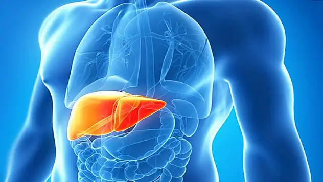 Karaciğerinizin yağlanmasına izin vermeyin