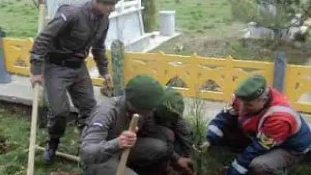 Beyşehir'de jandarmadan şehitler anısına fidan dikimi