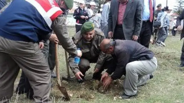 Jandarmadan 304 şehit adına 304 fidan