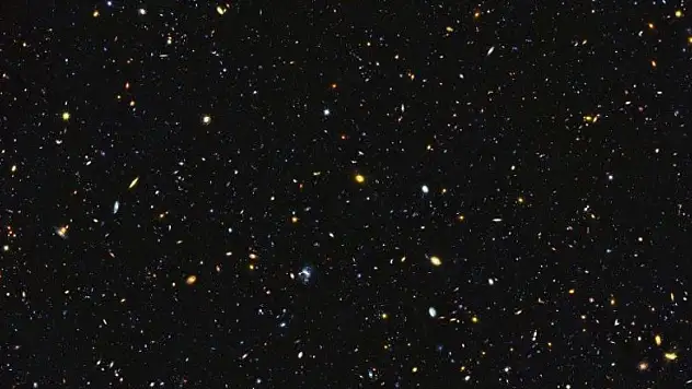 En net hali görüntülendi