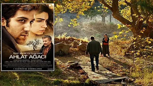Ahlat Ağacı Oscar adayı oldu