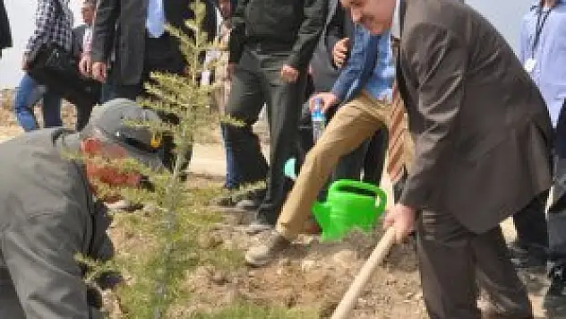 Konya'da 'Ağaç Dikme Şenliği'