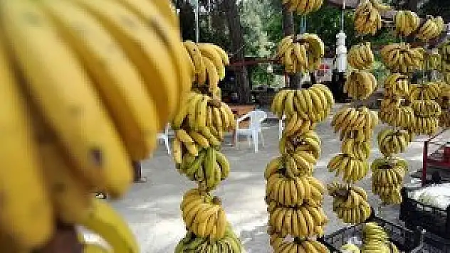 Muzdaki hastalık Türkiye'de yok