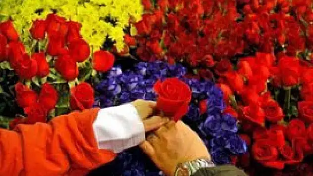 Çiçekçiler 14 Şubat'a hazırlanıyor