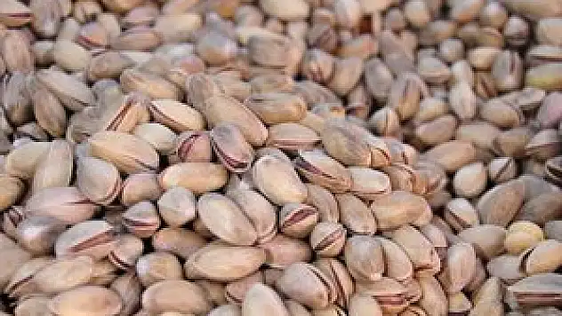 Antep fıstığı el yakıyor