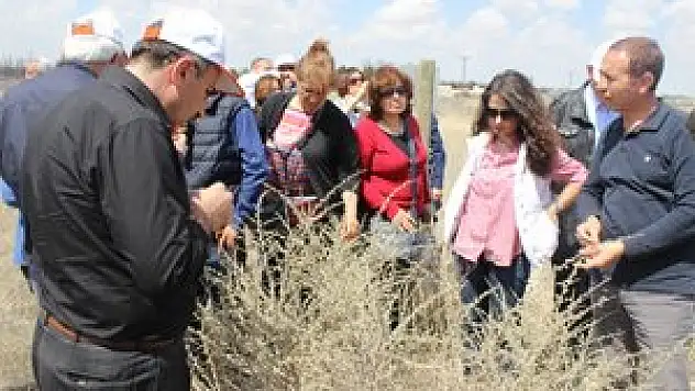 TAGEM heyeti Karapınar'ı gezdi