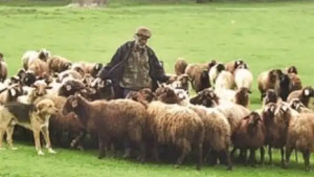 Tarımsal ürüne destek müjdesi