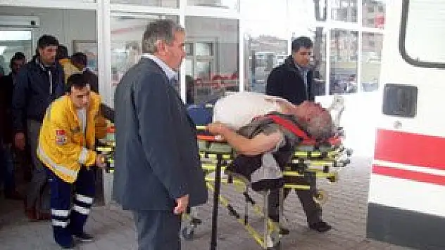 Minübüs faciaya yol açtı