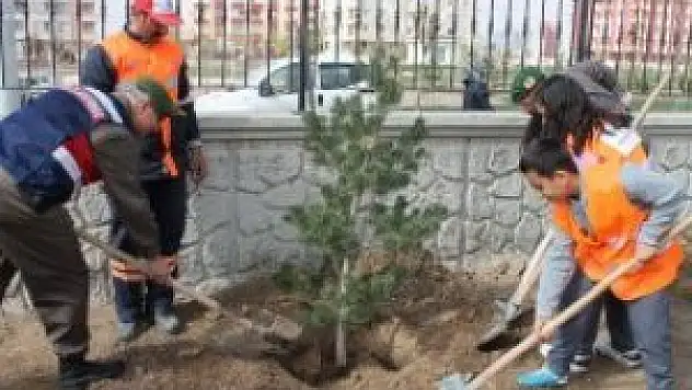 Jandarma'dan her şehit için bir fidan