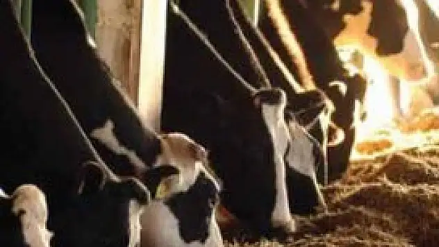 Akşehir'de köylerde eğitim çalışması