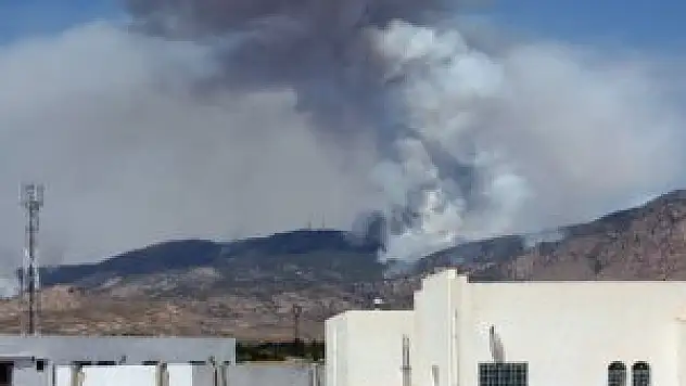 Cezayir'de askere pusu