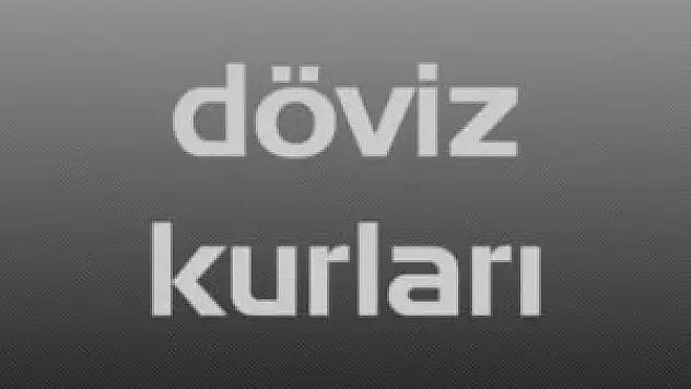 Döviz kurları