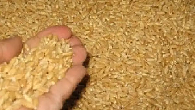 Konya Ticaret Borsası - 21.04.2014