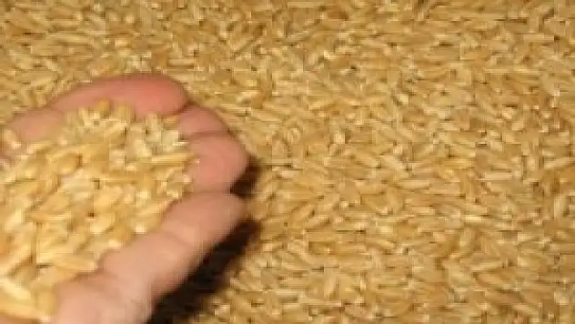 Konya Ticaret Borsası - 21.05.2014