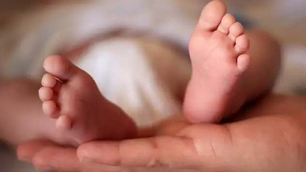 Sezaryen doğumlar dünya genelinde artıyor